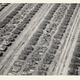 Image for article titled The Landscapes Of Suburbia Are The Real Science Fiction
